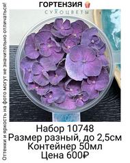 6eec6669e8794e3ea4f1df69b5486087