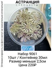 7251312f5e1846af9486cd5d80d2e289