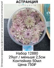 72c4ffed42da4aa69e9df4b42456ab1f