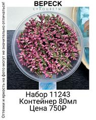 77c2abb44cfa46d8b2a64a73b5bc78be