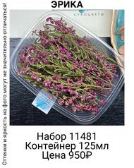 79594b24d020446091c914180f518fad