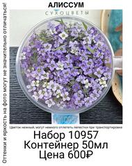 7bc58b94418e4106bfcbc4fff439fcad