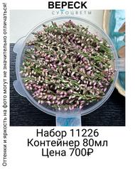 8069bb08b63945eea08aef022722c460