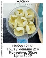 8df976d8e559491b8685a02c300f6148