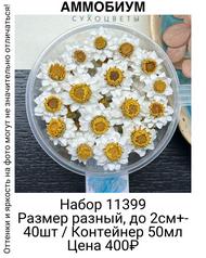 8e514d4dd18e4c37a3da44255149b18d