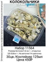 970ca35ce6434b578b41f4afad44dc49