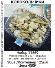 a2826d9f5325447788497705ea7a8d46