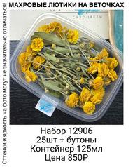 ad48ca82fec14d10a1e09a5e254e4db7