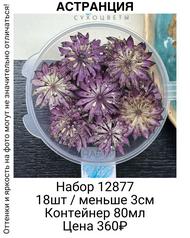 b89137c7e87d4e1f9fec0e6d3e6aacd9