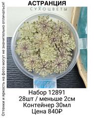 bb4f07fc8bdb4654b7bce10ca18d11f4