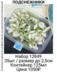 cb896dd3fc4b4df3820ab40b6e2b40e7