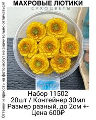 cefb1a22c8074704925571440f0a7853