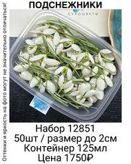 cf367b7fb0bb4e74a837ec84c96078e9