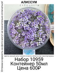 cf3b5cdf04824ecf94ee7a6d56987010