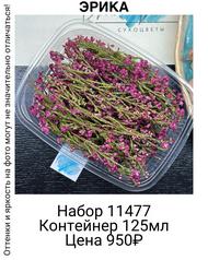 cf467c843e884155a3fc66fd7c69b47e