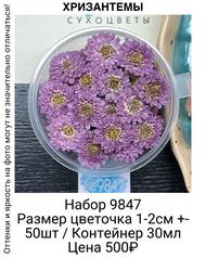 d2e50b27d7464da2989ed8de7662f50f