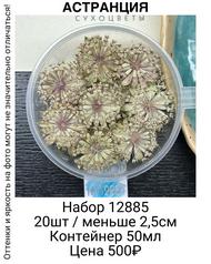 d385c8b20e1744b7849d81b573612e0b