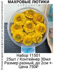 d70b0e279aa2419289ef77b2cff8dd56