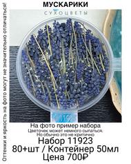 dfe202285d1a491ca46362da7b75ba87