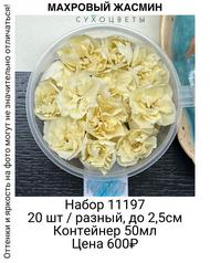 e3478fc926994d908a74c6003c55716b