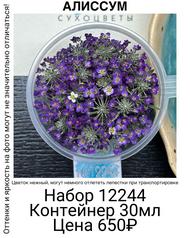 e3a3333bc07c4ec7ba49c5f35ecce3df