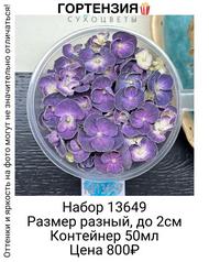 e7be9b95d0434302ad1f116908358d42