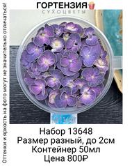 ead2665cba0f4ee8a1f1b1e55e94d928