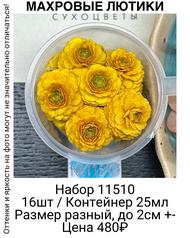 ec8f8fb57eed40d390ed73a3bd90748c