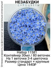 efd0097fc6f04a09b54ce47987cf4f0c