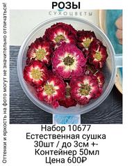 f39a038f82cd49a7acd287a67e959281