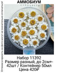 f874db9f78024d92805f11701c0c967f