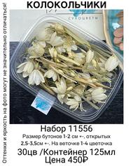 f890ded4bfb548a089da1743b48ef85a