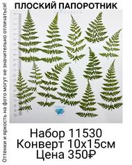 009dcde343484140a96126554bc25d17