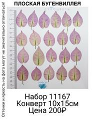 06618afe6065489ebf279385dc0205c9