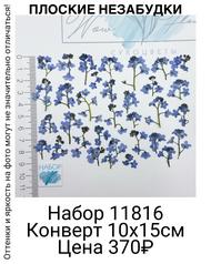 0b9f80b4dad74c95a44f23da610800cf