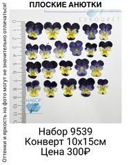 0d9777e279974ef99fc8506baeb29888