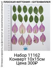 10f4aea8b3684ef095cf8c39ba56f90e