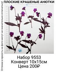 158cc819096e44dba15bb78846e746f3