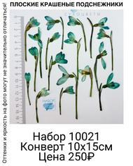 1a5e6add06394017b08c7972cdb15df0