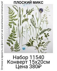 1ed82a3a4e8c4f7b8e82664be76f6bc2