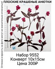 220f77630ed44cccb31b197a6dcb585e