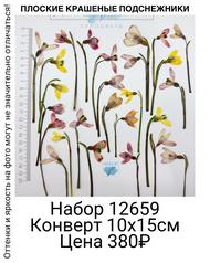 232fdfb54bf348f9b6621f0e74cd64cd