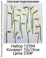 25559eb02a7e4e3fb0ce7ec9e228256e