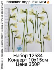 2b48f40144ea4c72b4d075e4f553d0b1