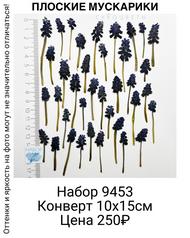 2d15fc1b100148e2b68397cb5ab6bbf5