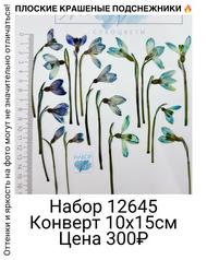 2d539a17284647de9dd8ec4dbcfaae58