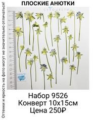 33e8dd8bba564df9b0ce0dfbe4397bdf