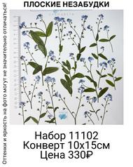 35ec39c4dff541ba97e96c5d8cb2973d