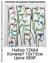 37f5c30dc5034ab39ff733e2211894b9