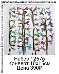 3ce75afcbf8c4aeba48cb1112790ca82